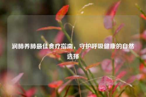 润肺养肺更佳食疗指南，守护呼吸健康的自然选择