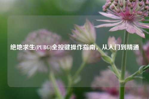绝地求生(PUBG)全按键操作指南，从入门到精通