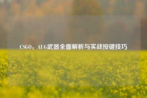 CSGO，AUG武器全面解析与实战按键技巧