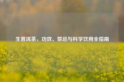 生普洱茶，功效、禁忌与科学饮用全指南