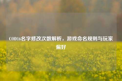 COD16名字修改次数解析，游戏命名规则与玩家偏好