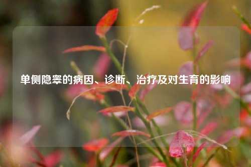 单侧隐睾的病因、诊断、治疗及对生育的影响