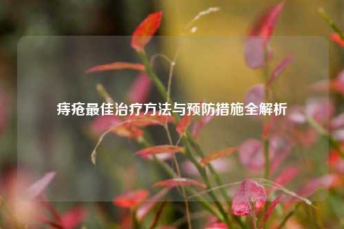 痔疮更佳治疗     与预防措施全解析