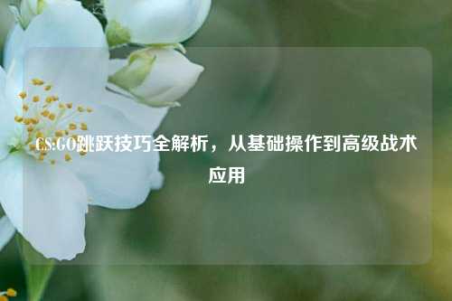 CS:GO跳跃技巧全解析，从基础操作到高级战术应用
