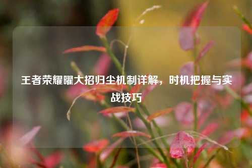 王者荣耀曜大招归尘机制详解，时机把握与实战技巧