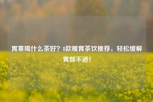 胃寒喝什么茶好？8款暖胃茶饮推荐，轻松缓解胃部不适！