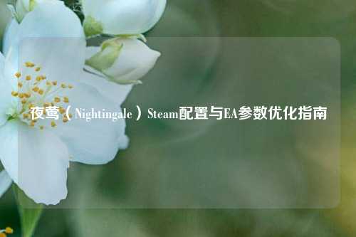 夜莺（Nightingale）Steam配置与EA参数优化指南